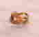 item-72706235=3