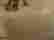 item-75721961=5