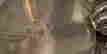 item-76238628=6