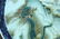 A Chinese Blue And White & Famille-Rose Porcelain Plate - 2
