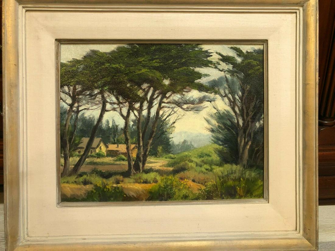 Darwin Duncan (1905-2002) Signed Original Oil on Board: Darwin Duncan (1905-2002) Original Oil Painting on Board "Monterey Cypress", Signed, Framed, 18" x 14" (Image), 26" x 22" (Frame), Weight is 5 Lbs. It is in very good condition-Please see photos for t