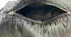 item-130401408=5