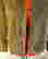 item-131360637=3