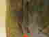 item-131360637=7