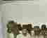 item-131360734=5