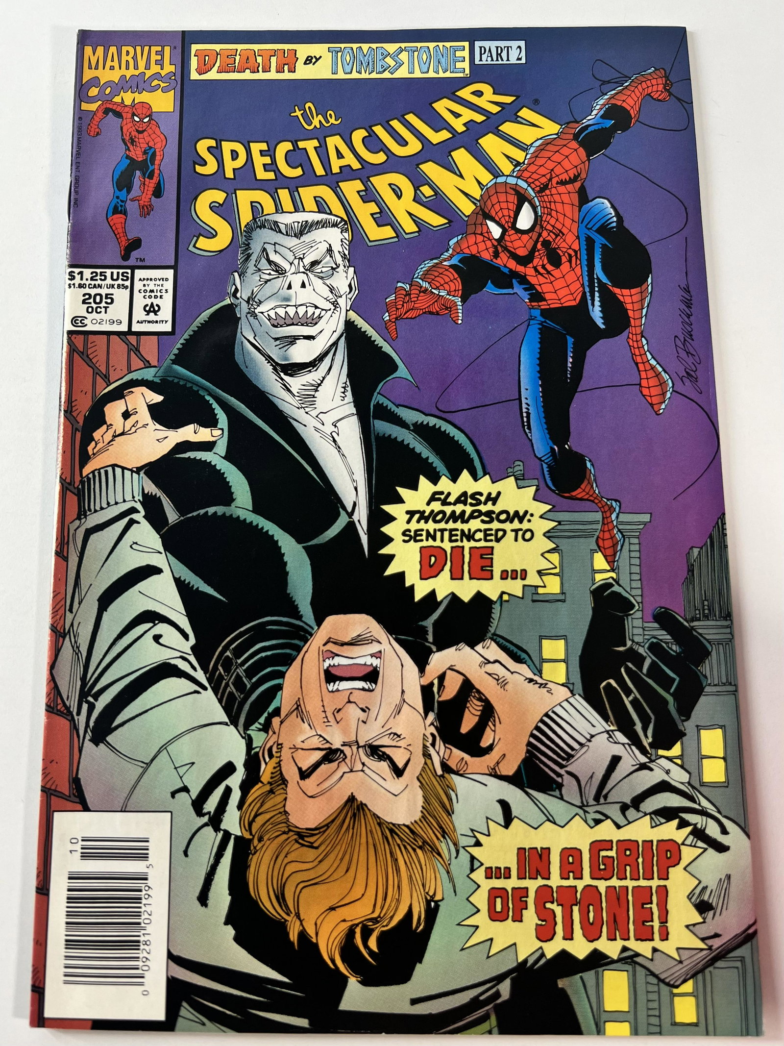 The Spectacular Spider-man Oct 1993 Vol. 1 No. 205: The Spectacular Spider-man Oct 1993 Vol. 1 No. 205. Caption: Flash Thompson Sentenced to Die... ... In A Grip of Stone! I looked through the book and it appears to be in Medium to High Grade 7.0 to 9.