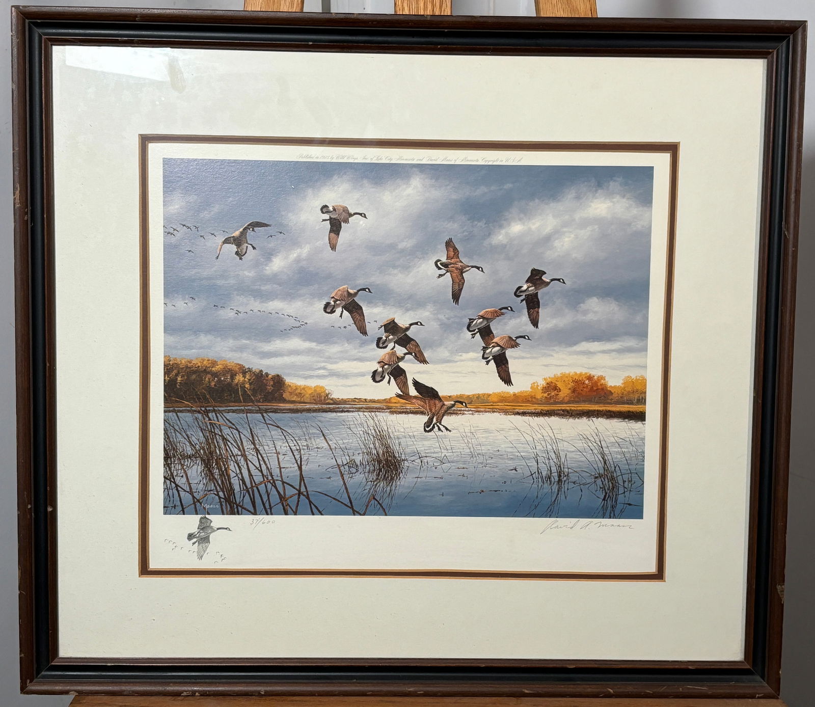 Canada Geese Flying through the Marsh Signed by David A. Maass 37/600 Print (1 of 6)