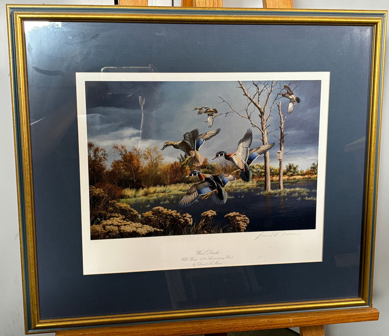 Wood Ducks Wild Wings' 25th Anniversary Print by David A. Maass Lithograph (1 of 6)