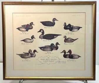 The Ward Bros. Decoys Crisfield Maryland - Signed Milton C. Weiler, Steve Ward & Lem Ward 58/450