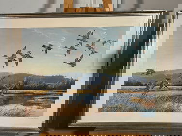 Ducks Landed SIgned Print by Maynard Reece 773/900