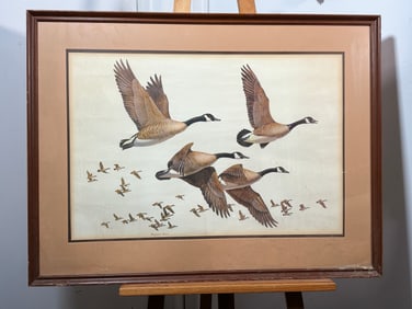 Maynard Reece - Flight - Canada Geese