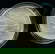 item-208739015=14