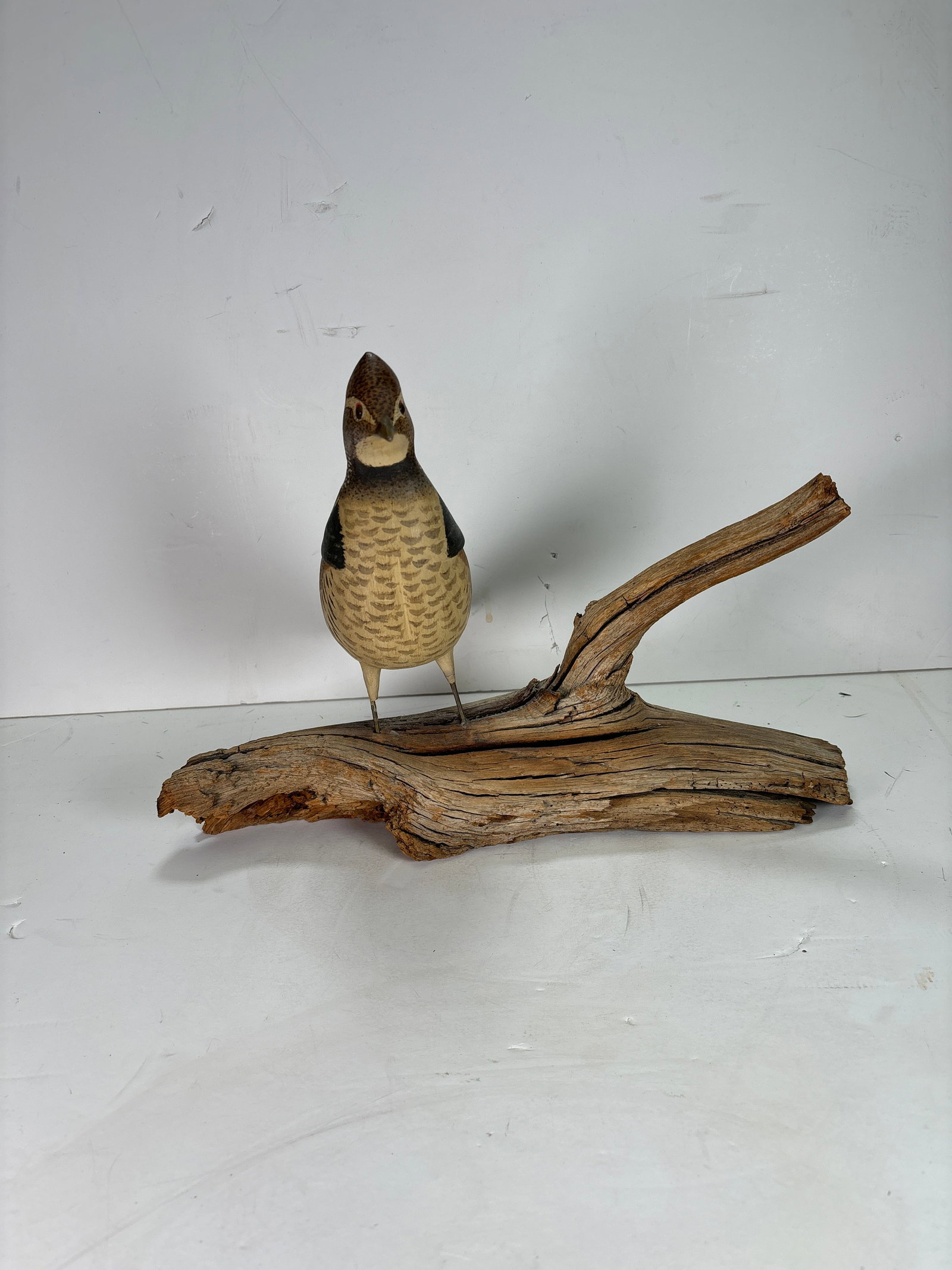 Vintage Wooden Quail Bird Mounted onto Branch: Vintage Wooden Quail Bird Mounted onto Branch. This is a cool old duck , it is made to look like a realiztic quail bird sitting on a branch. It is in great condition. This nice figure captures the bea