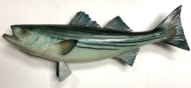 Vintage Striped Bass Fish 31" Replica