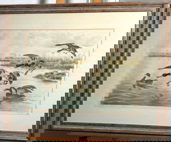 Geroges Frederic Rotig Signed Hand Colored Etching "Mallards" Framed