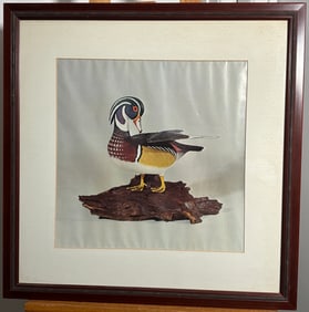 1971 North American 'Wood Duck' Painting