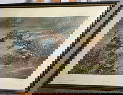 Pintails on a Quiet Inlet by William Hollywood No. 272/510 Signed Framed Lithograph: Pintails on a Quiet Inlet by William Hollywood No. 272/510 Signed depicts the gracefulness of the pintails in the wild. The artist is able to capture their beauty so elegantly. Hollywood's Skills