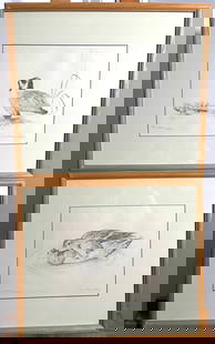 (2) Delicate Balance 320/480 & The Lesson 487/700 by Consuelo Eames Hanks: Two prints by the artist Consuelo Eames Hanks (1928-2015). (1) Delicate Balance 320/480 & (2) The Lesson 487/700. These are two nice rare matted prints, they are both great pieces that depict geese.