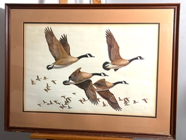 Maynard Reece - Flight - Canada Geese