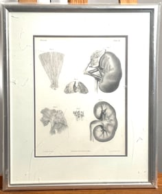 On stone by A. Newsam , Philadelphia, Published by Carey & Hart - P.S. Duval, Lith Phil Viscera.