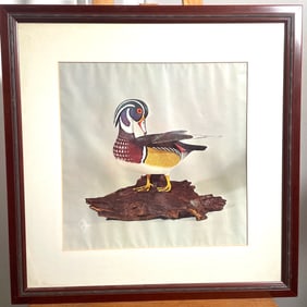 1971 North American 'Wood Duck' Painting