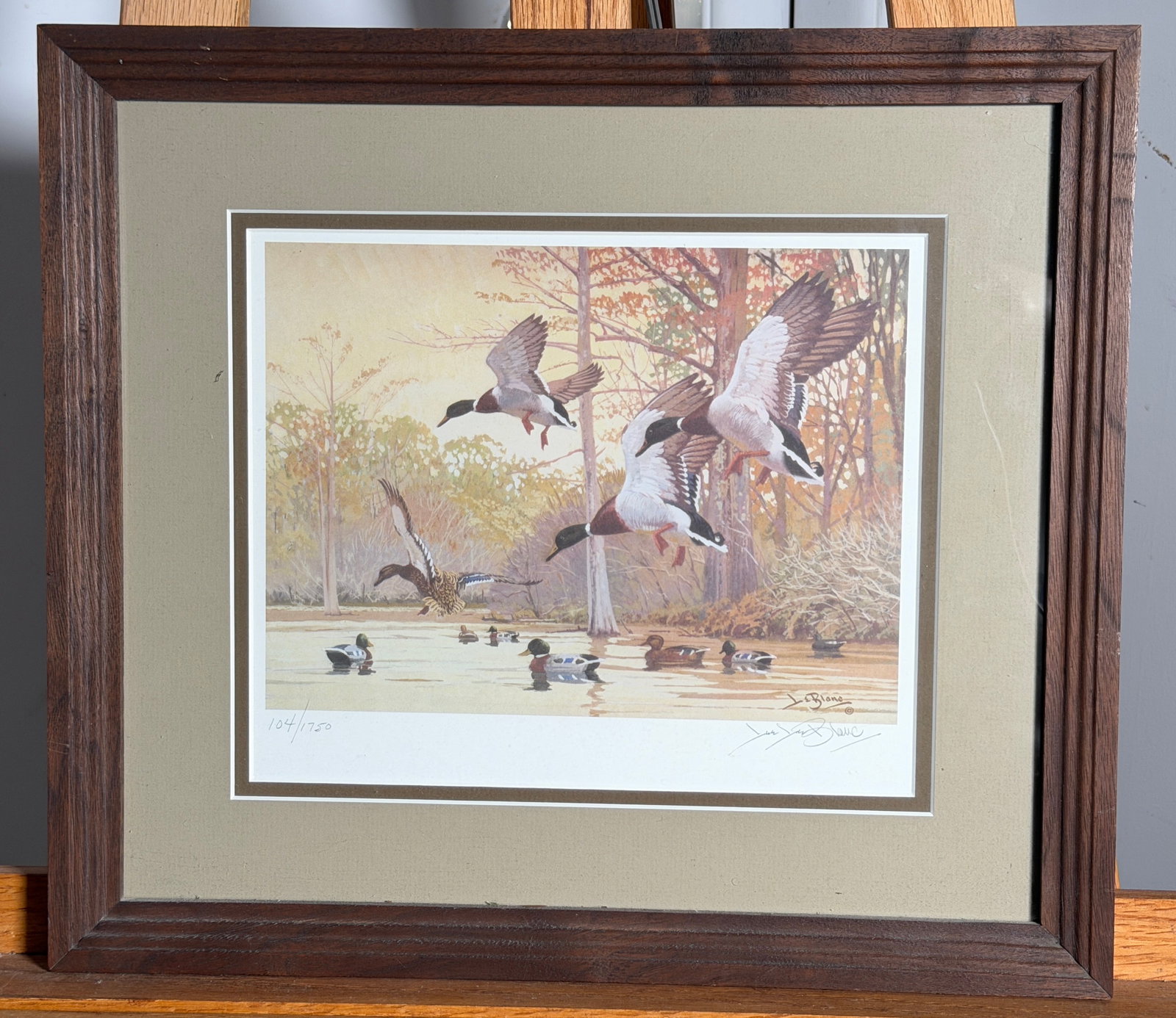 Wildlife Print Signed by Lee LeBlanc 104/1750: A Wildlife Print Signed by Lee LeBlanc, it is numbered 104/1750. Lee is an accomplished illustrator. This print decpicts mallard ducks taking flight in a wooded wetland. This print showcases his signa