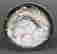item-127768750=6