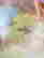 item-127768791=4