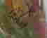 item-127768913=3