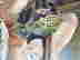 item-127768960=3
