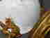 item-127769025=6