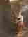 item-133405255=3