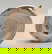 item-208106284=2
