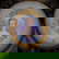 item-208106483=3