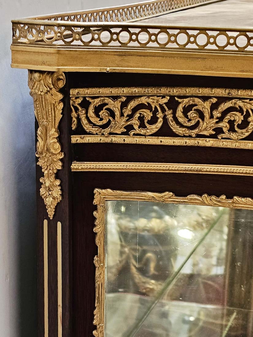 Pair of 19th C. French Bronze Mounted Vitrines - 11