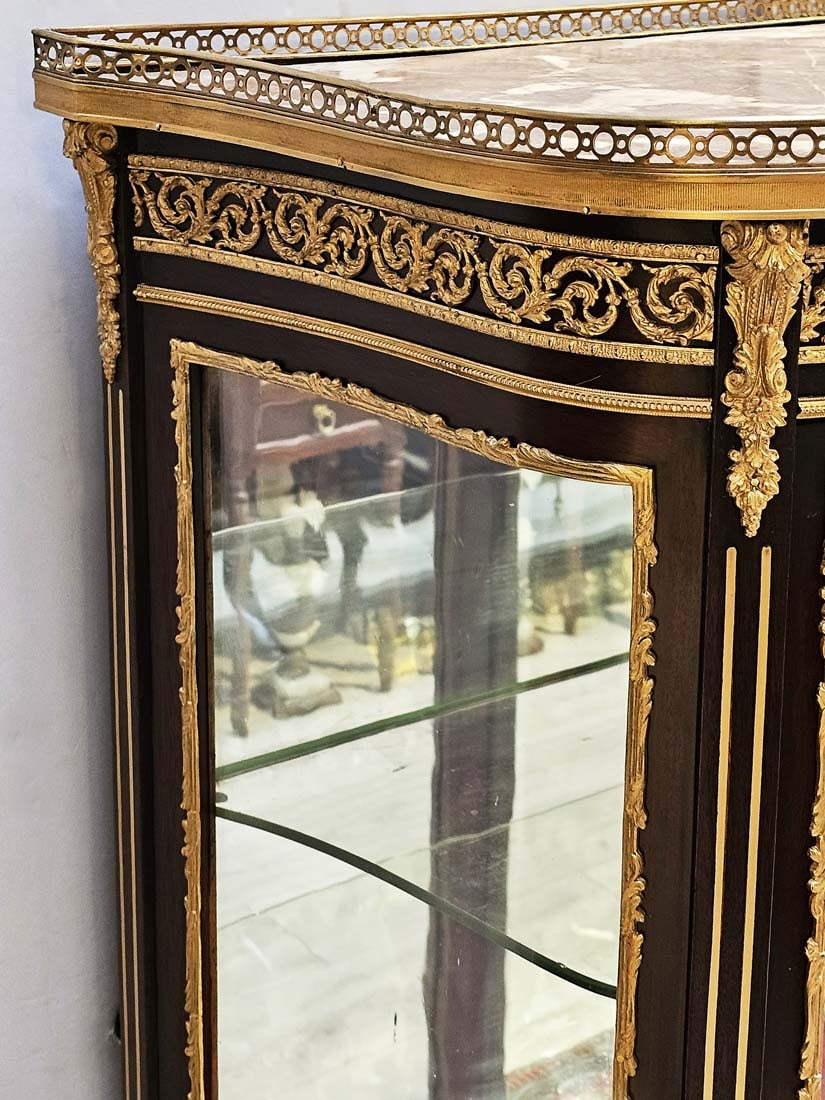 Pair of 19th C. French Bronze Mounted Vitrines - 12