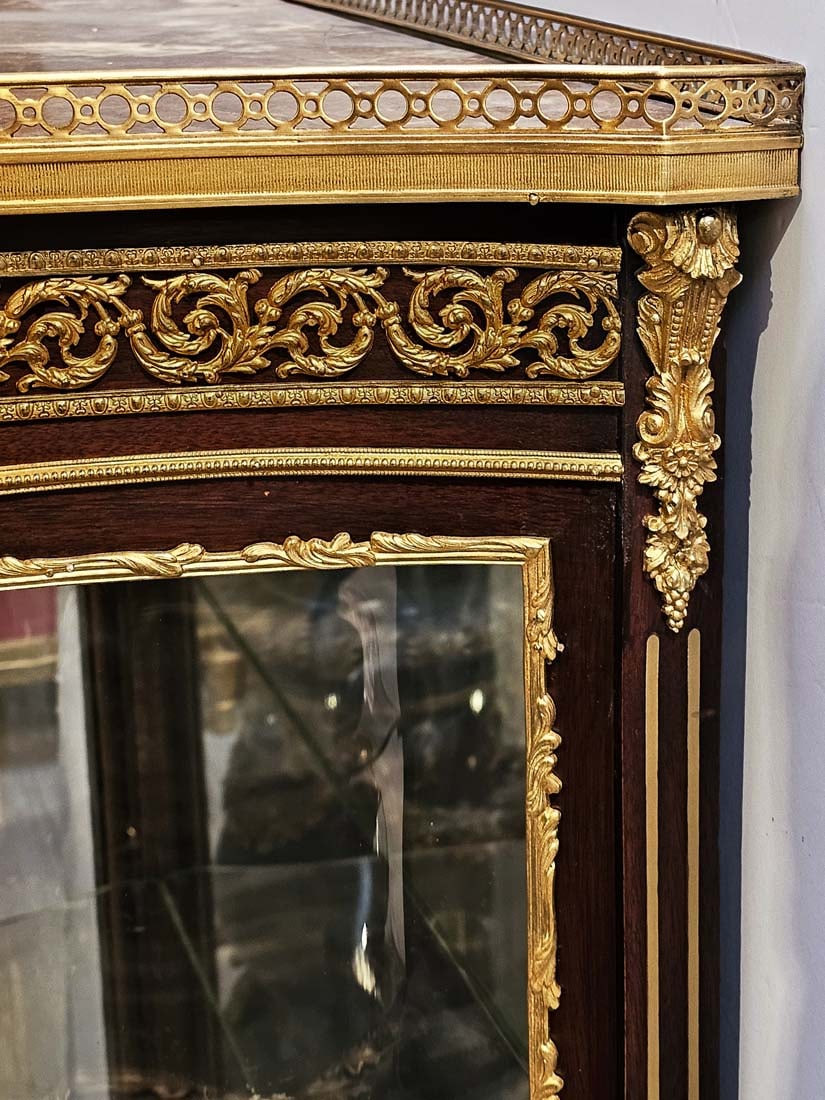Pair of 19th C. French Bronze Mounted Vitrines - 13