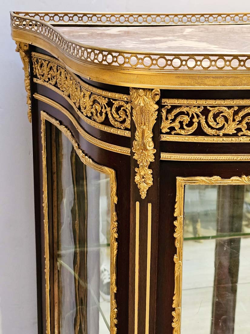 Pair of 19th C. French Bronze Mounted Vitrines - 14