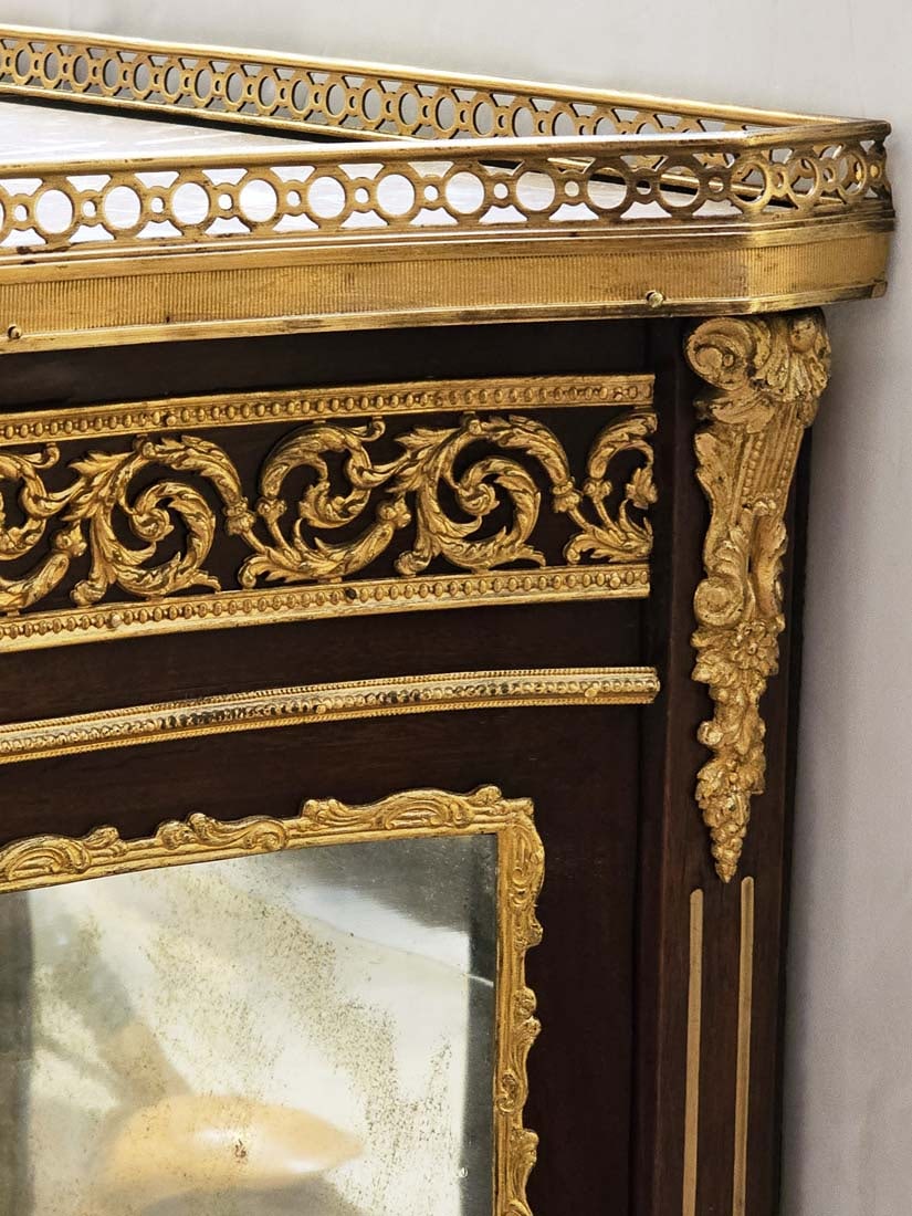 Pair of 19th C. French Bronze Mounted Vitrines - 5