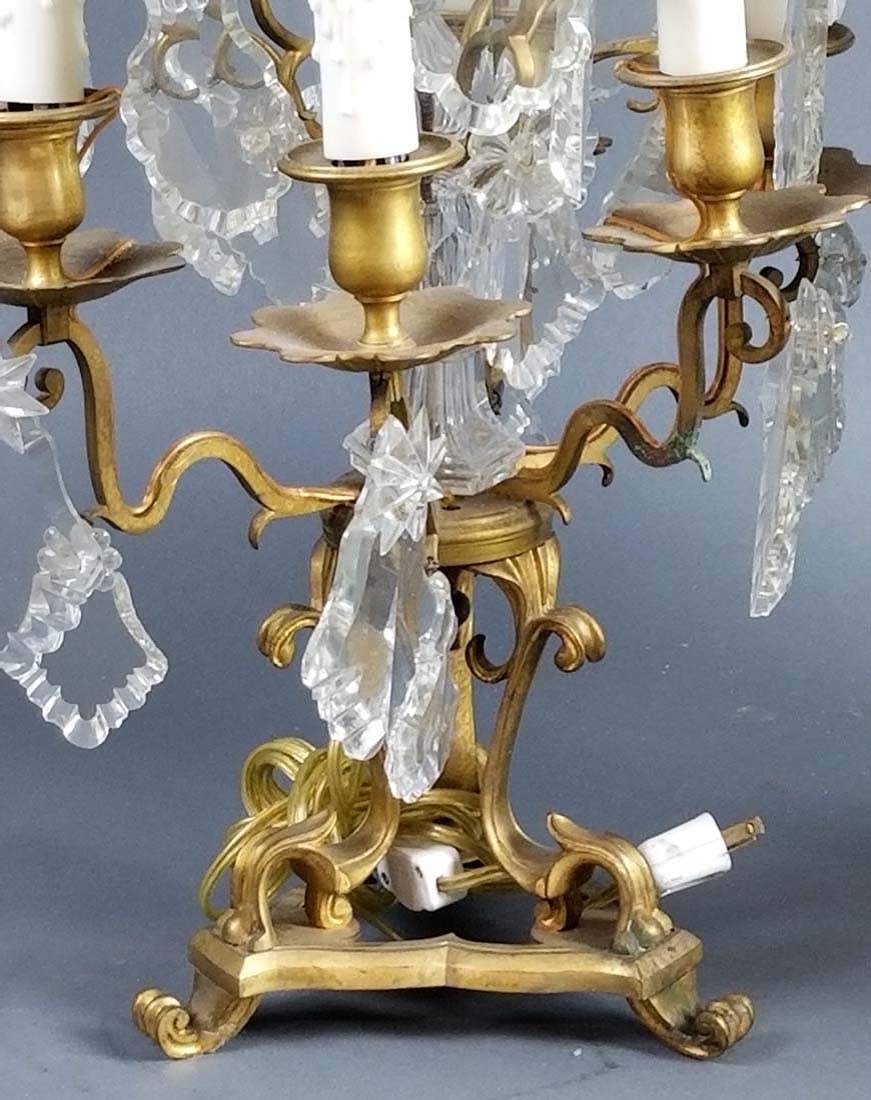 Pair of 19th C. Bronze and Crystal Candelabra Lamps - 5
