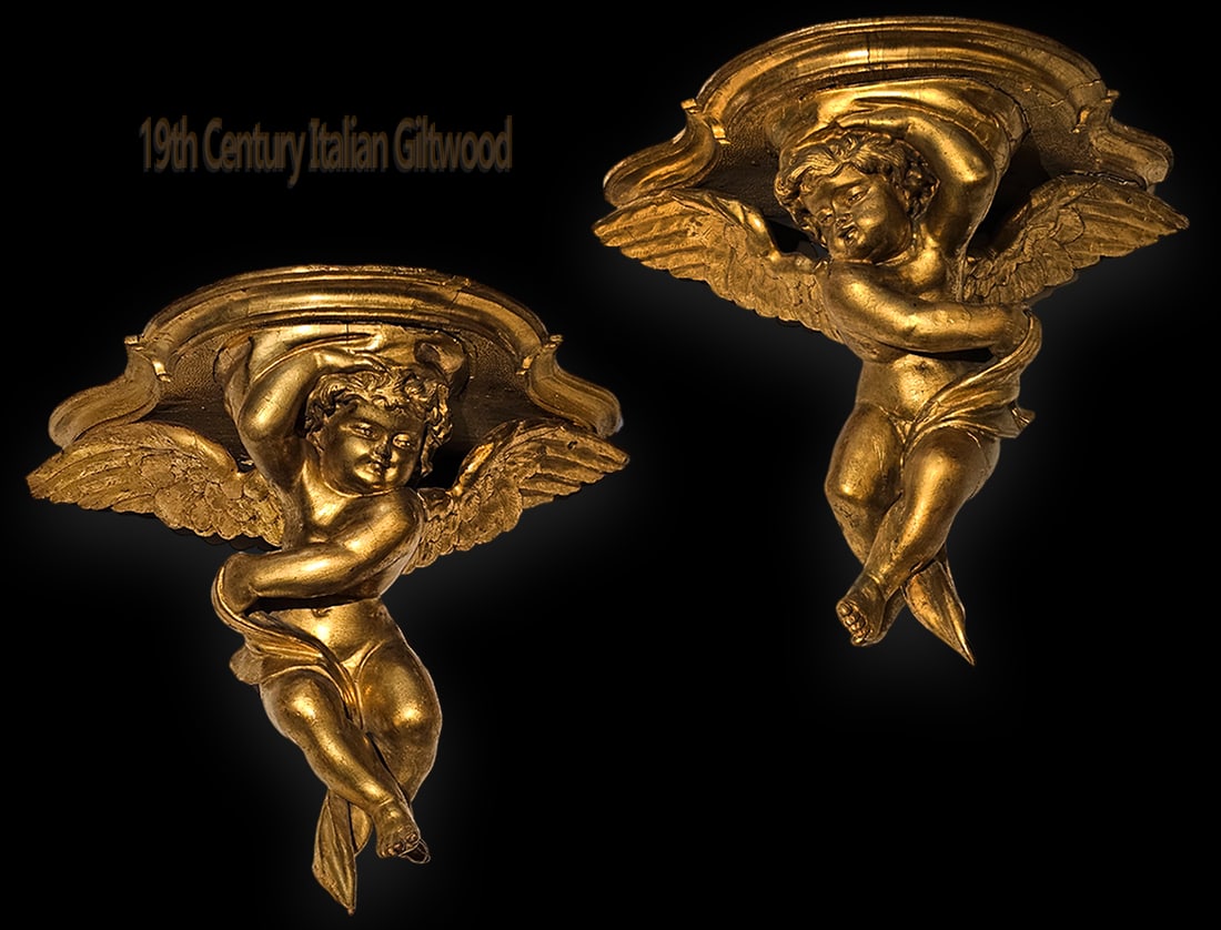 Pair Of 19th C. Italian Giltwood Cherub Sconces: Pair Of 19th C. Italian Giltwood Cherub Sconces. H 13 1/2" x W 9" x L 16"