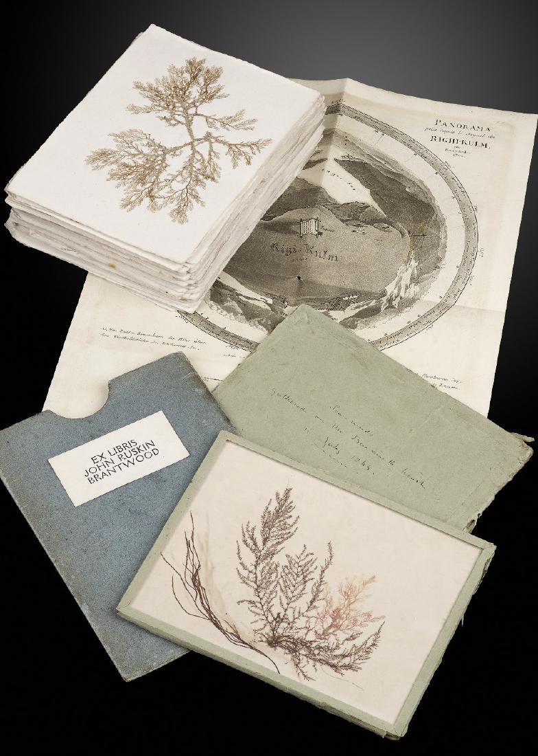 An interesting folio of pressed seaweed specimens: An interesting folio of pressed seaweed specimens attributable to the notable Victorian figure John Ruskin, (1819-1900). Comprising a loose folio of samples, each on 5.75 x 4.25 sheets with blank divi