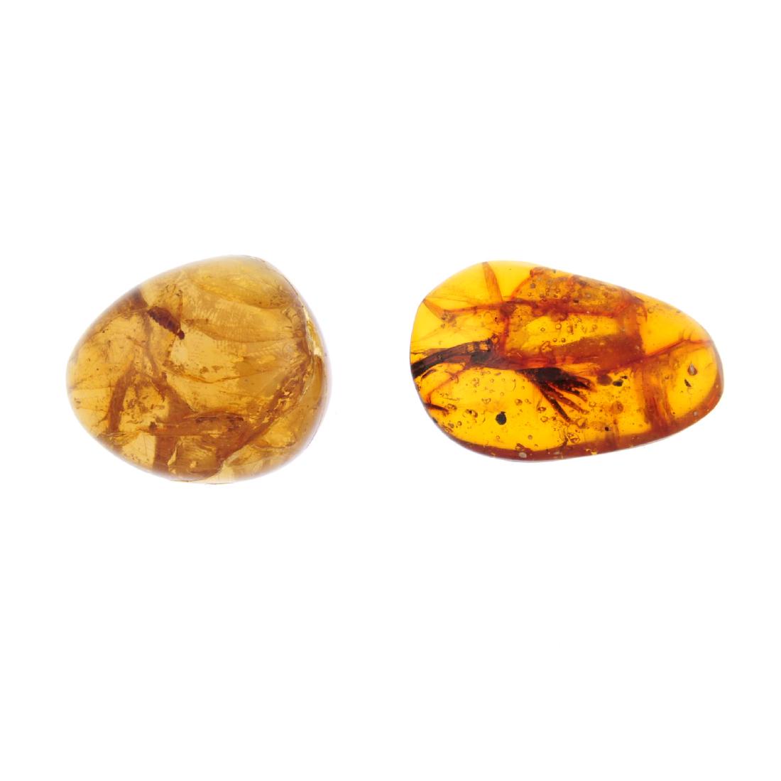 Two pieces of natural Dominican Republic amber with: Two pieces of natural Dominican Republic amber with insect inclusions. Both pieces of amber are ploished, the first with wasp and fungus gnat inclusions, the second with a flying ant inclusion. Length
