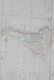 Henry Teesdale, A new chart of the world on Mercator's - 3