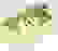 item-66233072=5