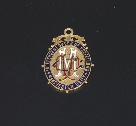 A 9ct gold and enamel medal, for the In
