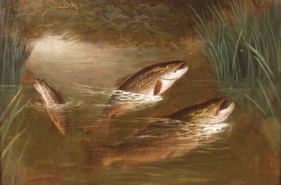 A. ROLAND KNIGHT (British, 19th Century): A. ROLAND KNIGHT (British, 19th Century) Salmon feeding. Oil on canvas, signed lower left. 23.5" x 15.5" (59.5cm x 39.5cm)