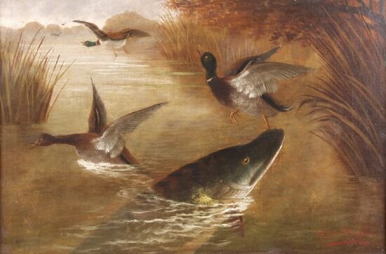 A. ROLAND KNIGHT (British, 19th Century): A. ROLAND KNIGHT (British, 19th Century) Mallard ducks and pike. Oil on canvas, signed lower right. 23.5" x 15.5" (59.5cm x 39.5cm)
