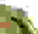 item-13292769=3