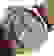 item-13292769=5